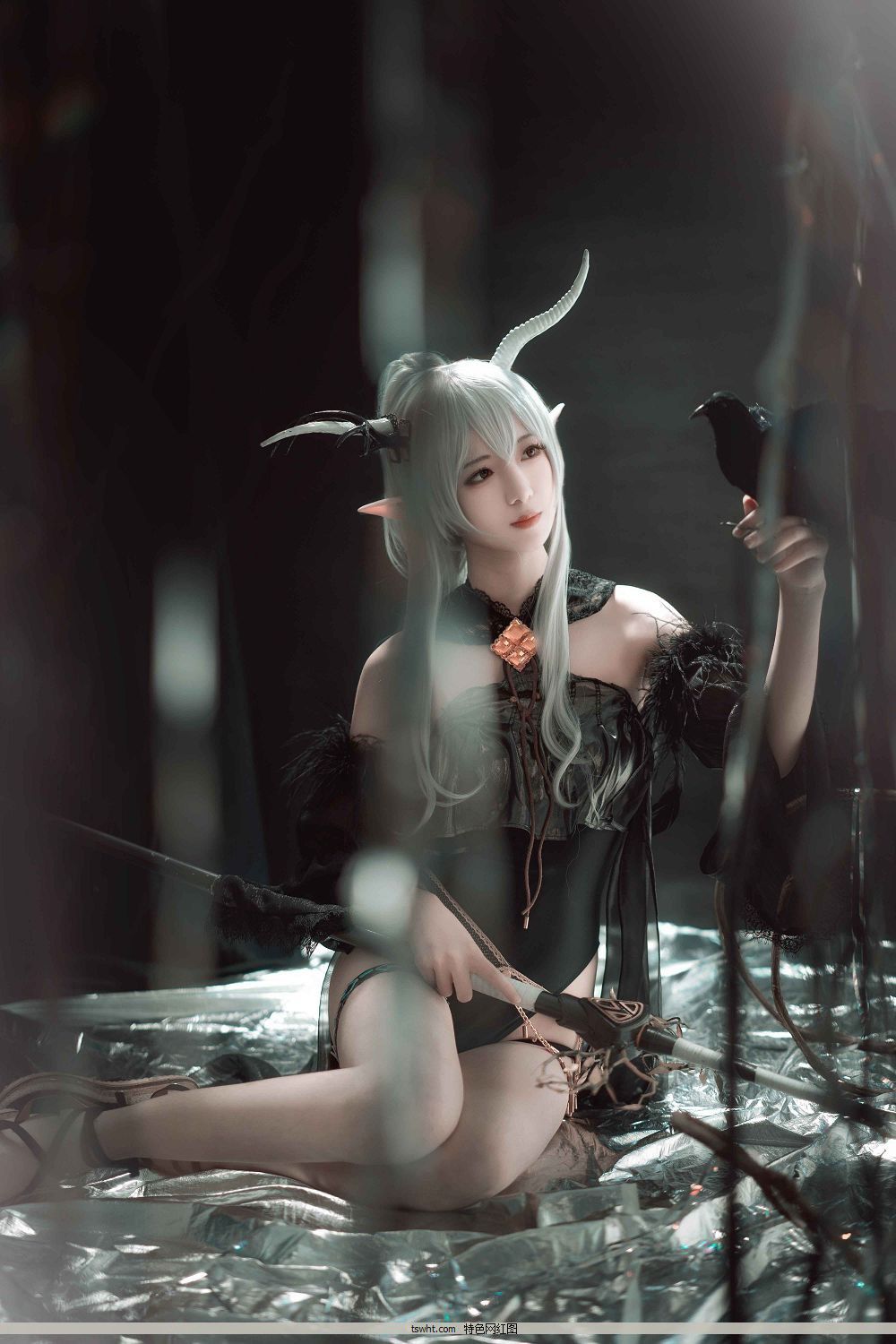 No.2 [΢coser@] [16P]  շ 1ҳ