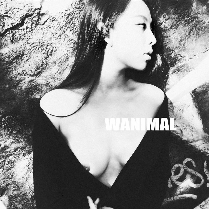 ͼ ʥ (ʮ) [86P] WANIMALƷ P.1 