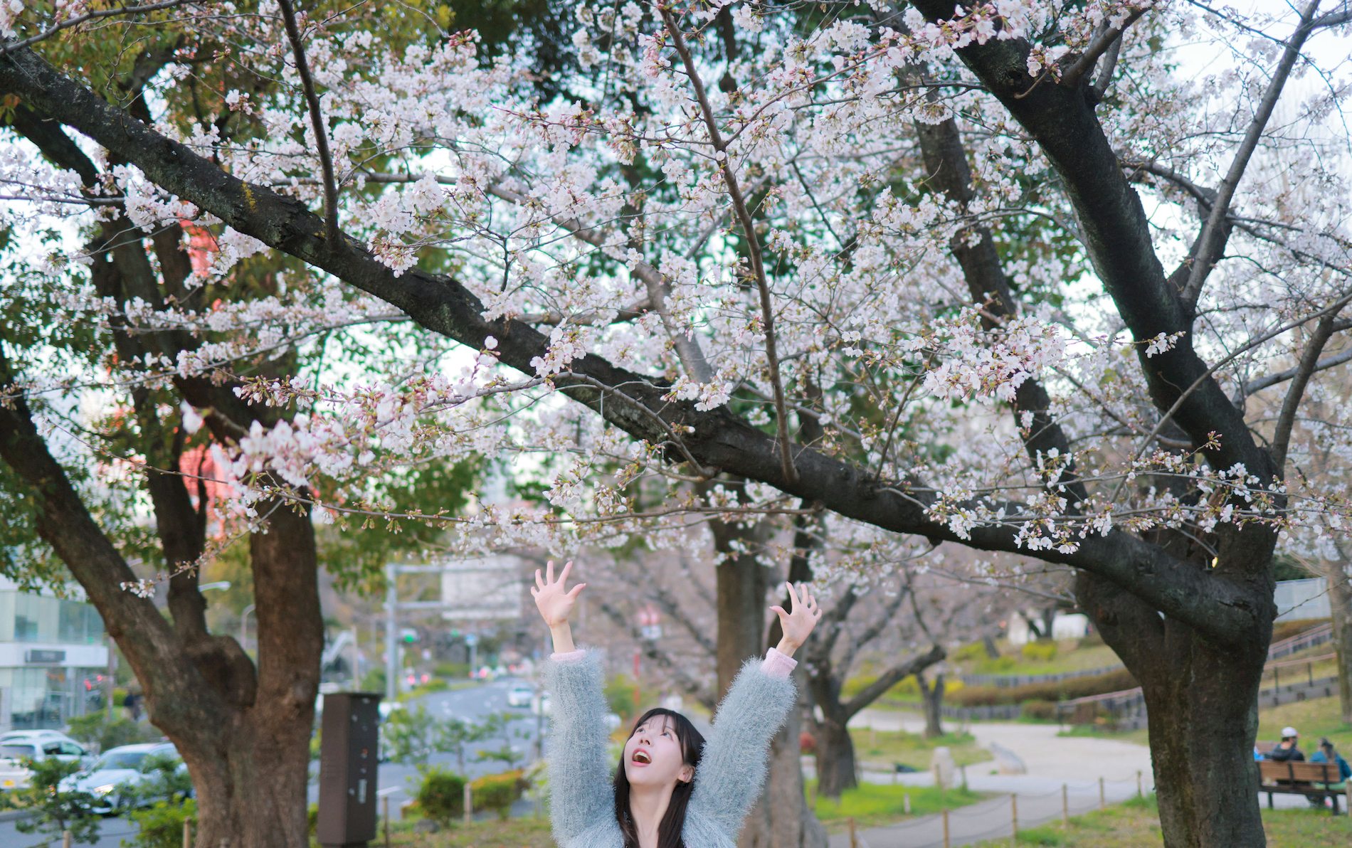 Sakura [ѡPATREONӰ] VOL.1 Sovely P.1 