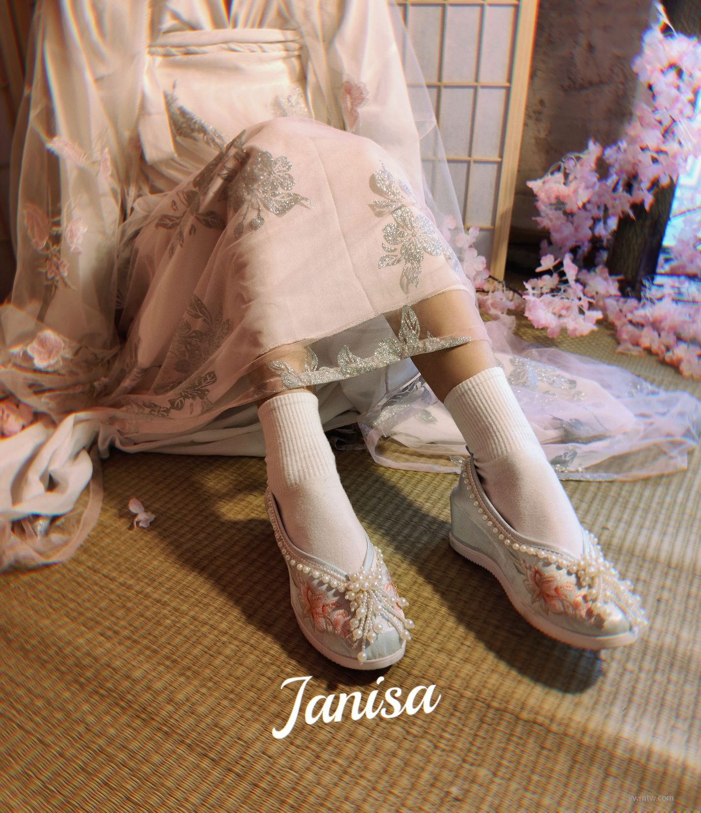 Janisa ͼ պŮ  ͼ  P.3