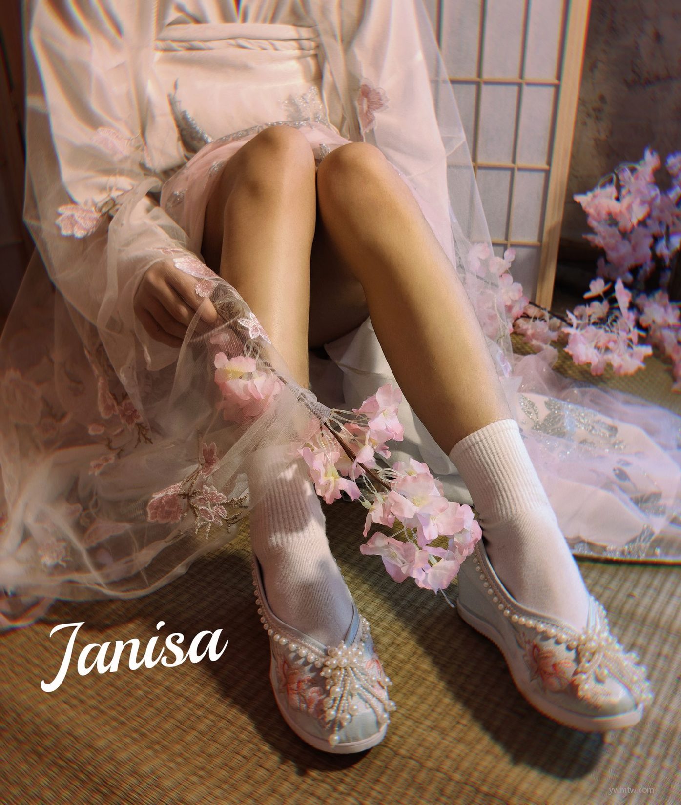 Janisa ͼ պŮ  ͼ  P.3